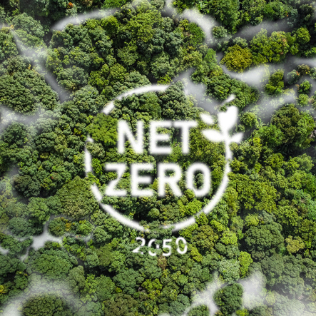 Ariel shot of a forest with the words Net Zero 2050 stamped across it